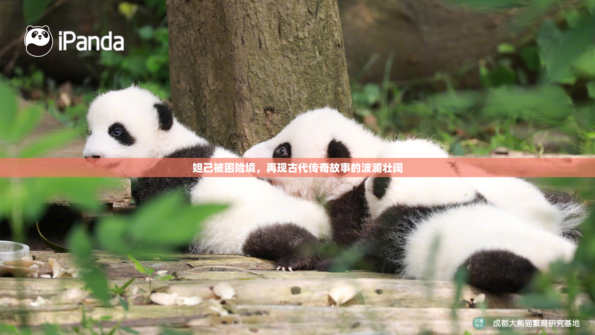 妲己被困险境，再现古代传奇故事的波澜壮阔