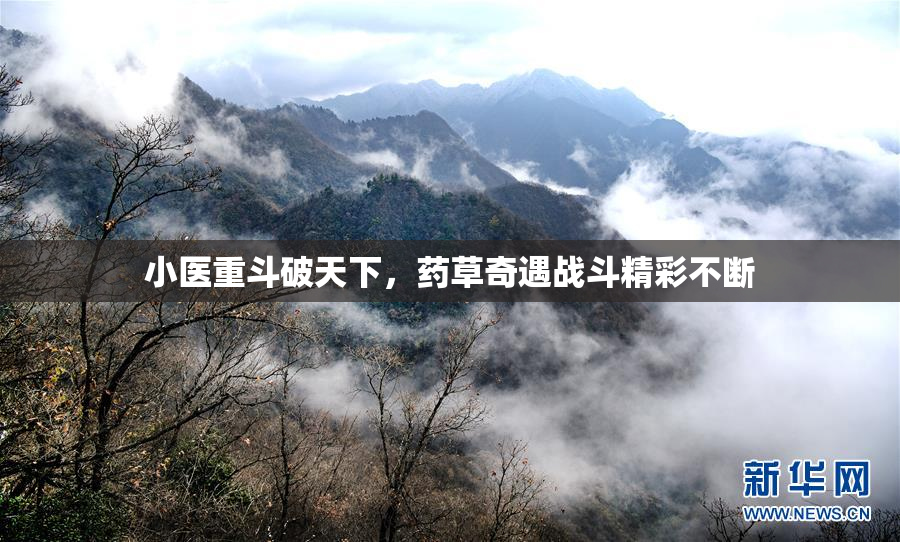 小医重斗破天下，药草奇遇战斗精彩不断