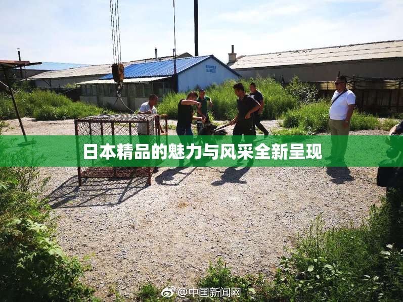 日本精品的魅力与风采全新呈现