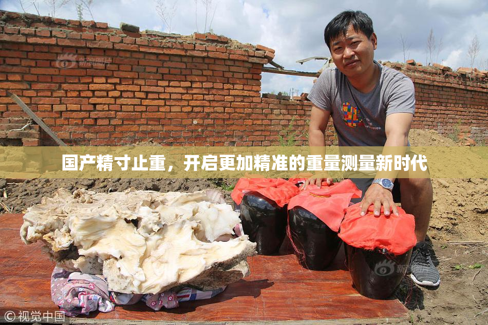 国产精寸止重，开启更加精准的重量测量新时代