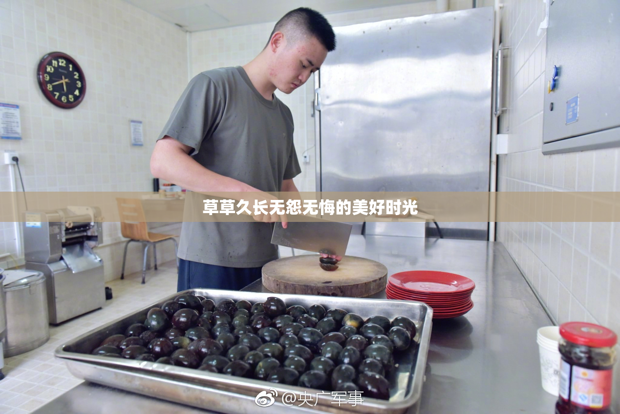 草草久长无怨无悔的美好时光
