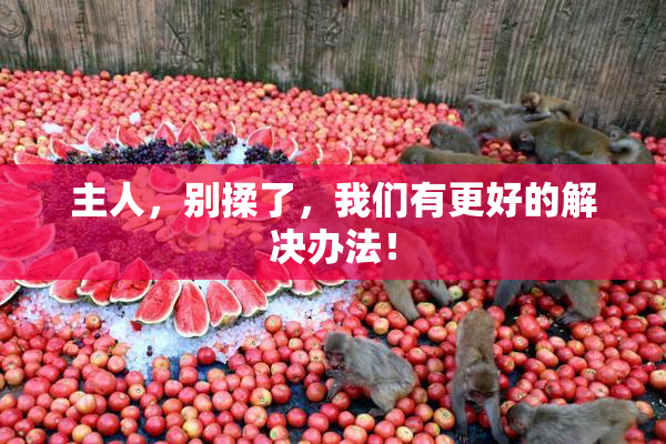 主人，别揉了，我们有更好的解决办法！
