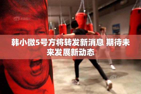 韩小微5号方将转发新消息 期待未来发展新动态