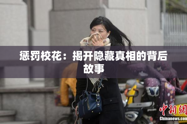 惩罚校花：揭开隐藏真相的背后故事