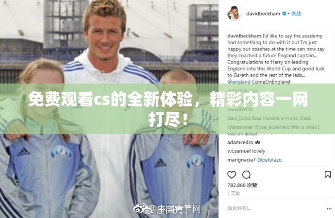 免费观看cs的全新体验，精彩内容一网打尽！