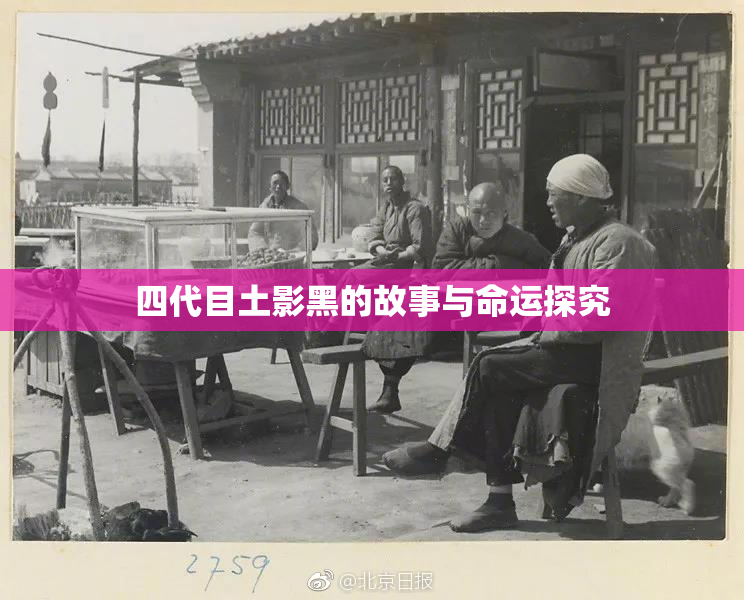 四代目土影黑的故事与命运探究