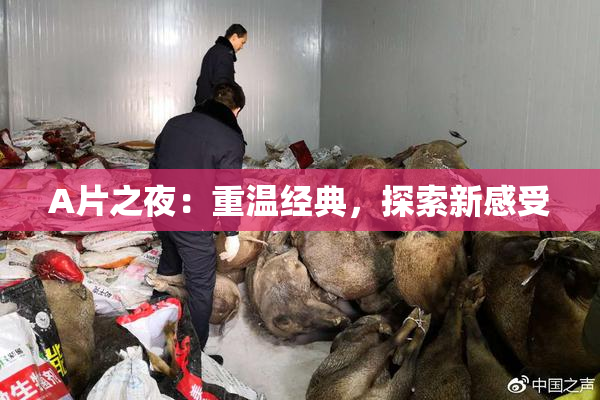 A片之夜：重温经典，探索新感受