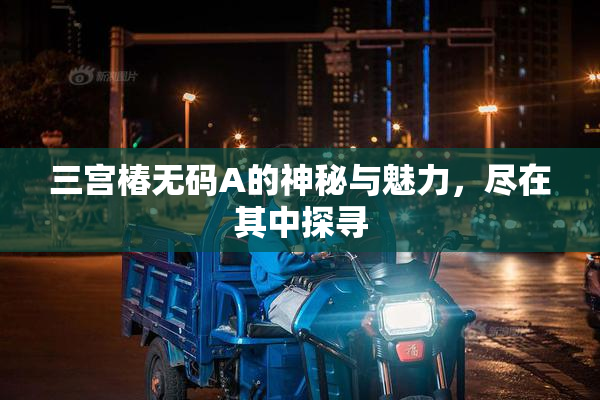 三宫椿无码A的神秘与魅力，尽在其中探寻