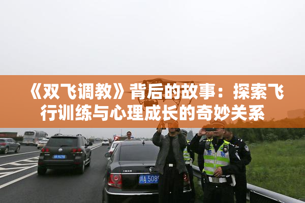 《双飞调教》背后的故事：探索飞行训练与心理成长的奇妙关系