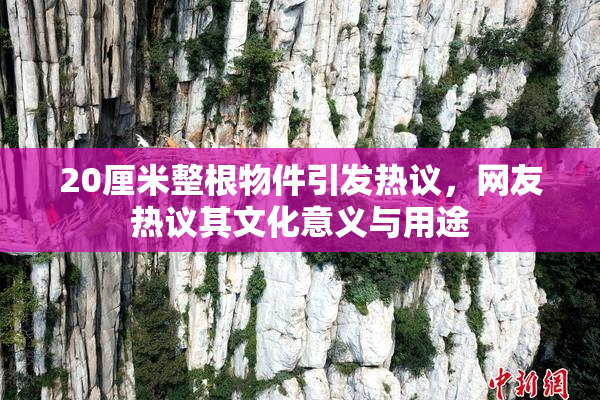 20厘米整根物件引发热议，网友热议其文化意义与用途