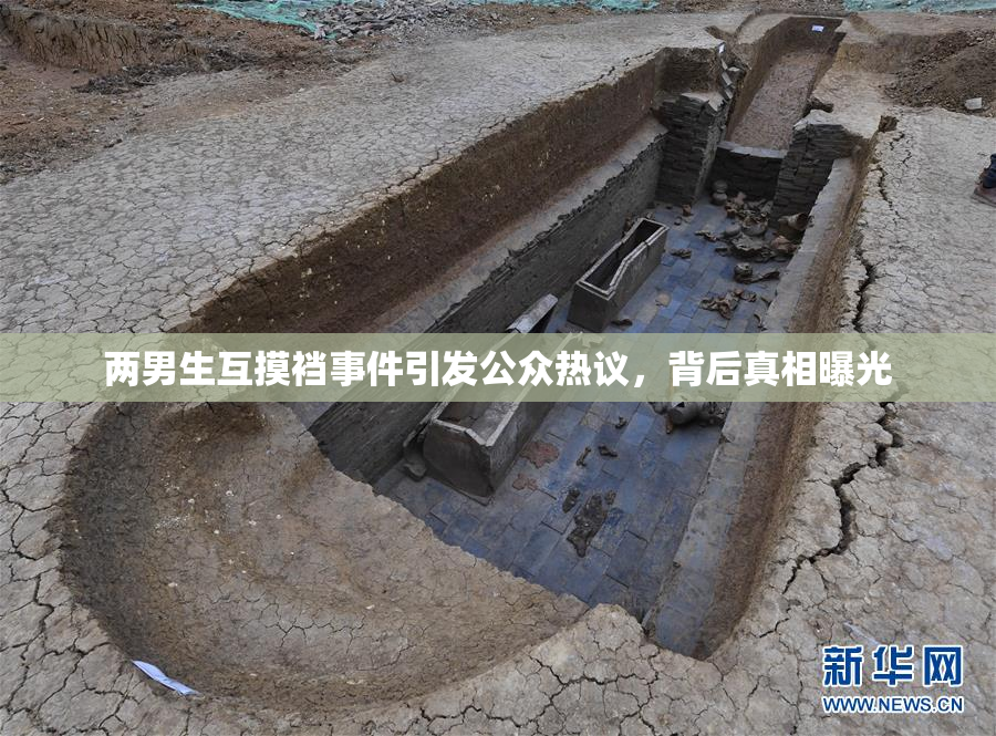 两男生互摸裆事件引发公众热议，背后真相曝光
