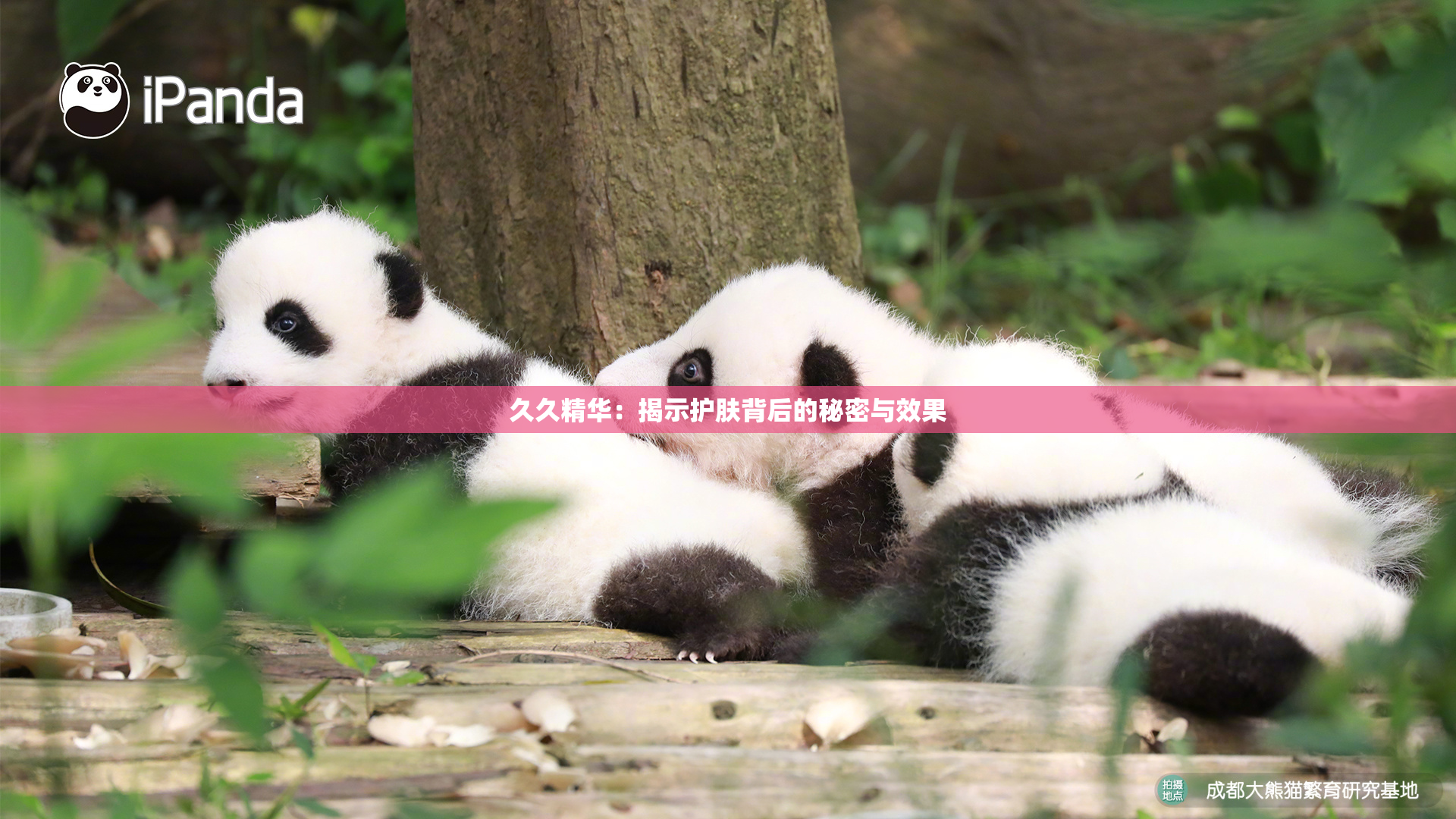 久久精华：揭示护肤背后的秘密与效果