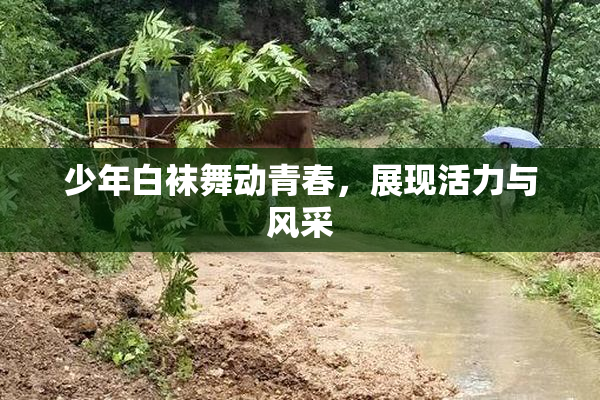 少年白袜舞动青春，展现活力与风采