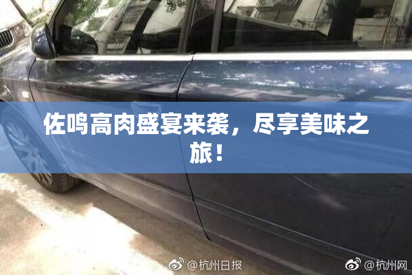 佐鸣高肉盛宴来袭，尽享美味之旅！