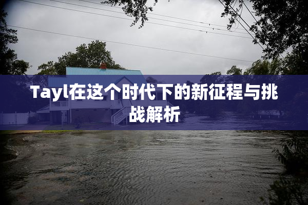 Tayl在这个时代下的新征程与挑战解析