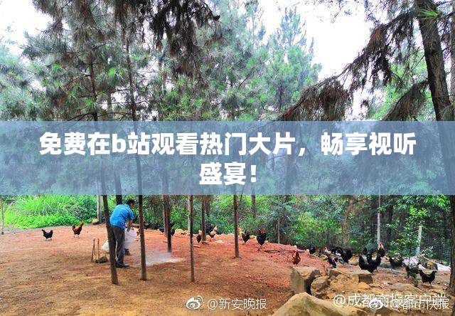 免费在b站观看热门大片，畅享视听盛宴！