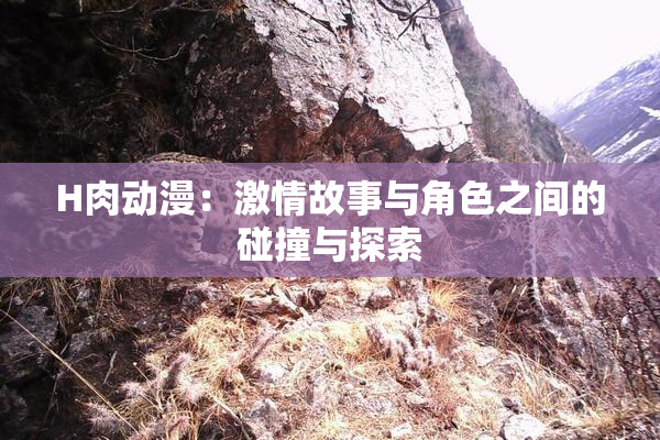 H肉动漫：激情故事与角色之间的碰撞与探索