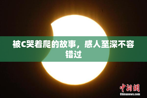 被C哭着爬的故事，感人至深不容错过