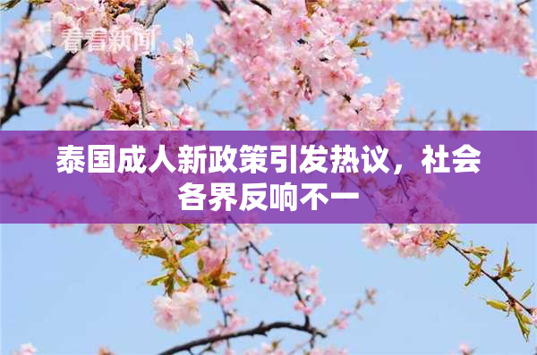 泰国成人新政策引发热议，社会各界反响不一
