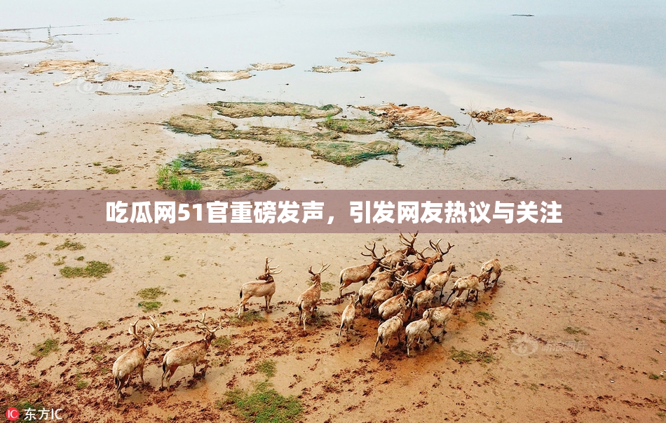 吃瓜网51官重磅发声，引发网友热议与关注