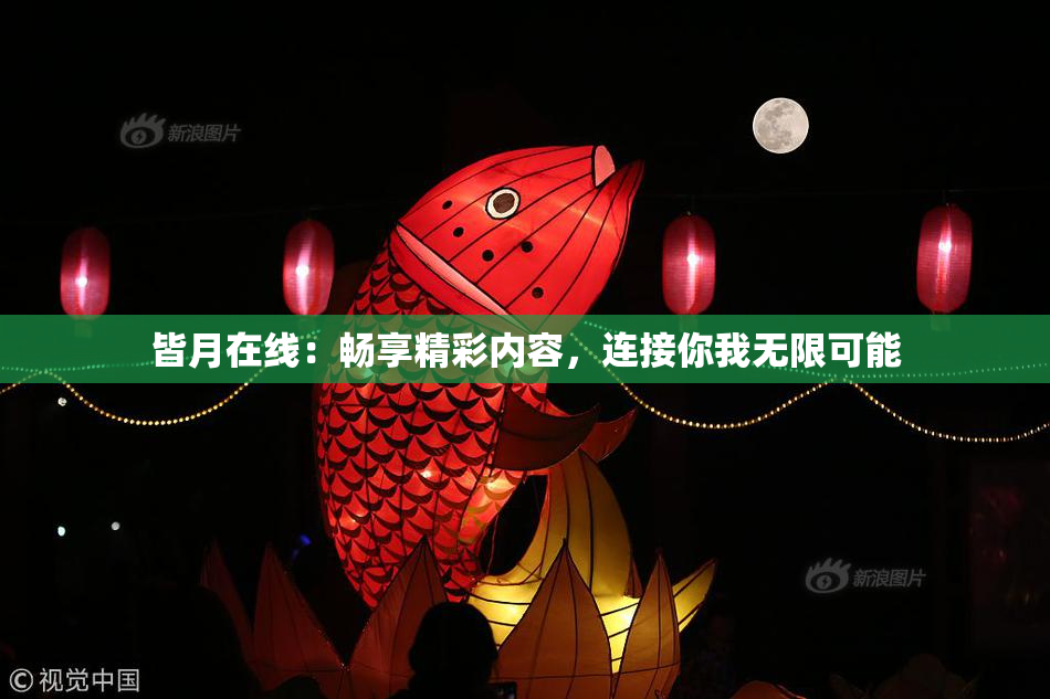 皆月在线：畅享精彩内容，连接你我无限可能