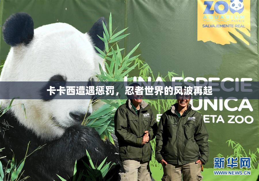 卡卡西遭遇惩罚，忍者世界的风波再起