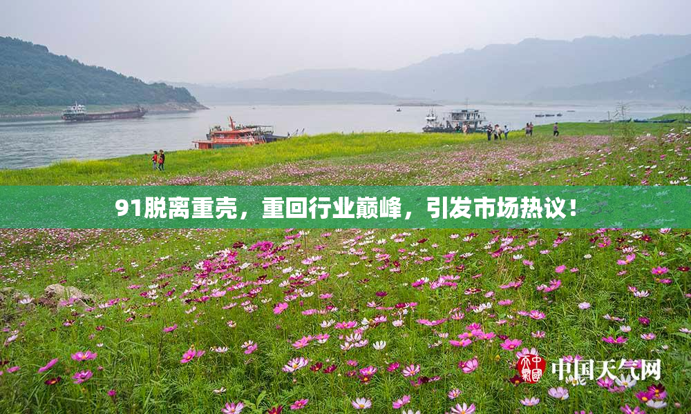 91脱离重壳，重回行业巅峰，引发市场热议！