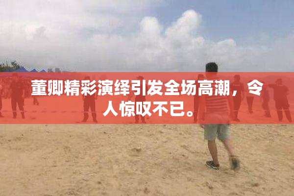董卿精彩演绎引发全场高潮，令人惊叹不已。