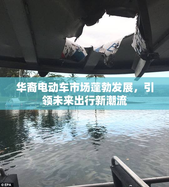 华裔电动车市场蓬勃发展，引领未来出行新潮流