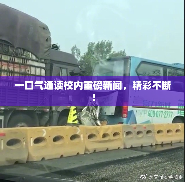 一口气通读校内重磅新闻，精彩不断！