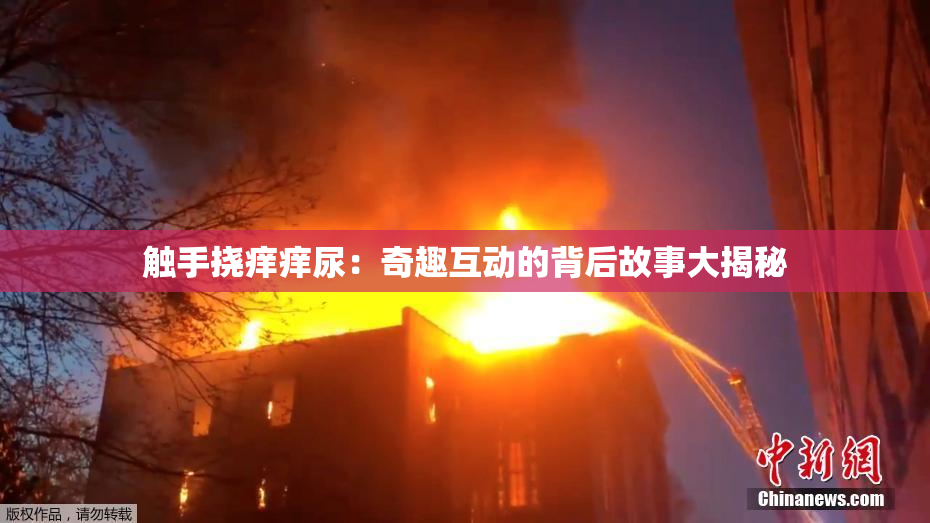 触手挠痒痒尿：奇趣互动的背后故事大揭秘