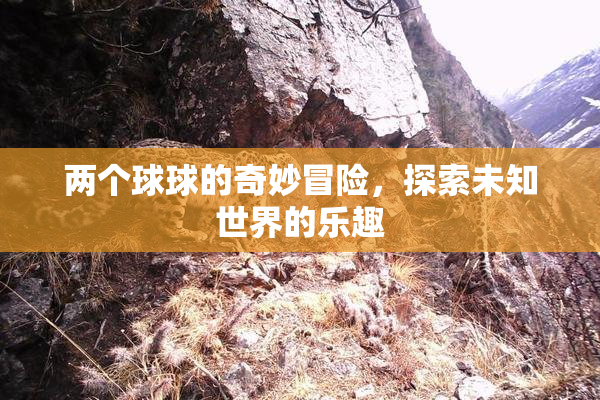 两个球球的奇妙冒险，探索未知世界的乐趣