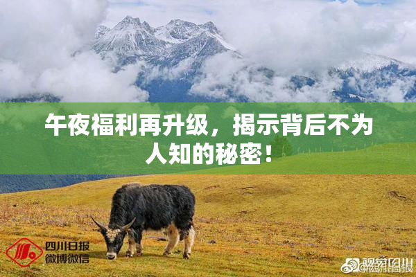 午夜福利再升级，揭示背后不为人知的秘密！