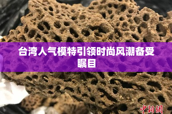 台湾人气模特引领时尚风潮备受瞩目