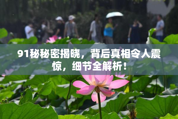 91秘秘密揭晓，背后真相令人震惊，细节全解析！