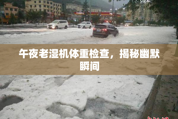 午夜老湿机体重检查，揭秘幽默瞬间