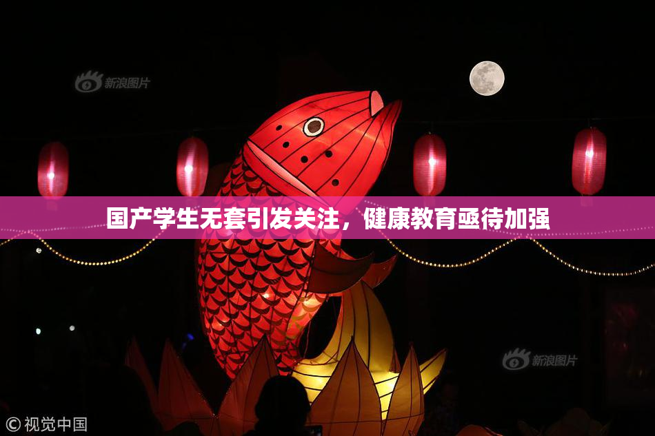 国产学生无套引发关注，健康教育亟待加强