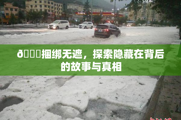 🔞捆绑无遮，探索隐藏在背后的故事与真相