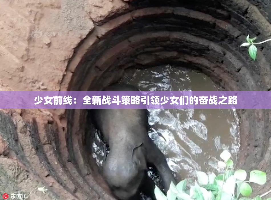 少女前线：全新战斗策略引领少女们的奋战之路