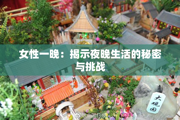 女性一晚：揭示夜晚生活的秘密与挑战