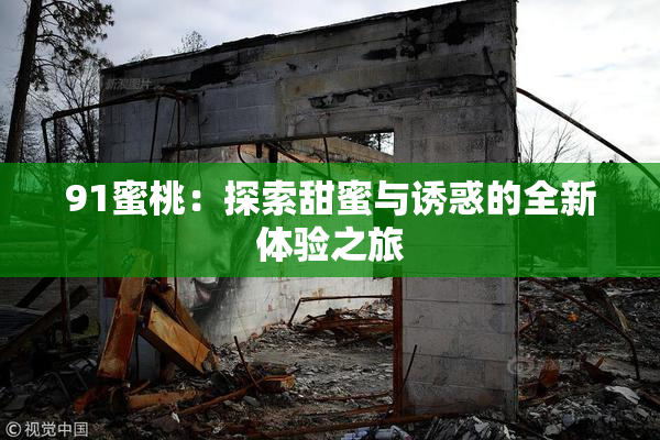 91蜜桃：探索甜蜜与诱惑的全新体验之旅