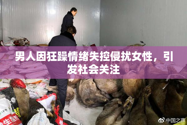 男人因狂躁情绪失控侵扰女性，引发社会关注
