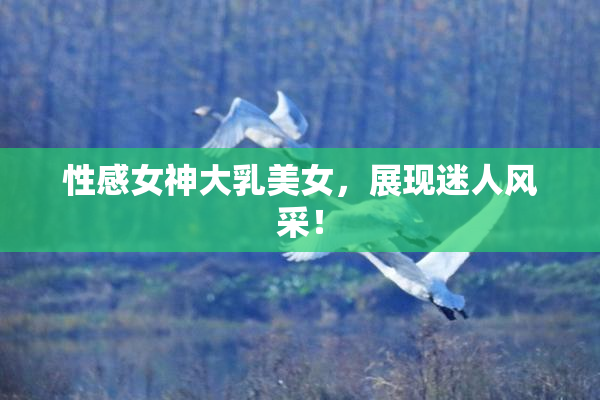 性感女神大乳美女，展现迷人风采！