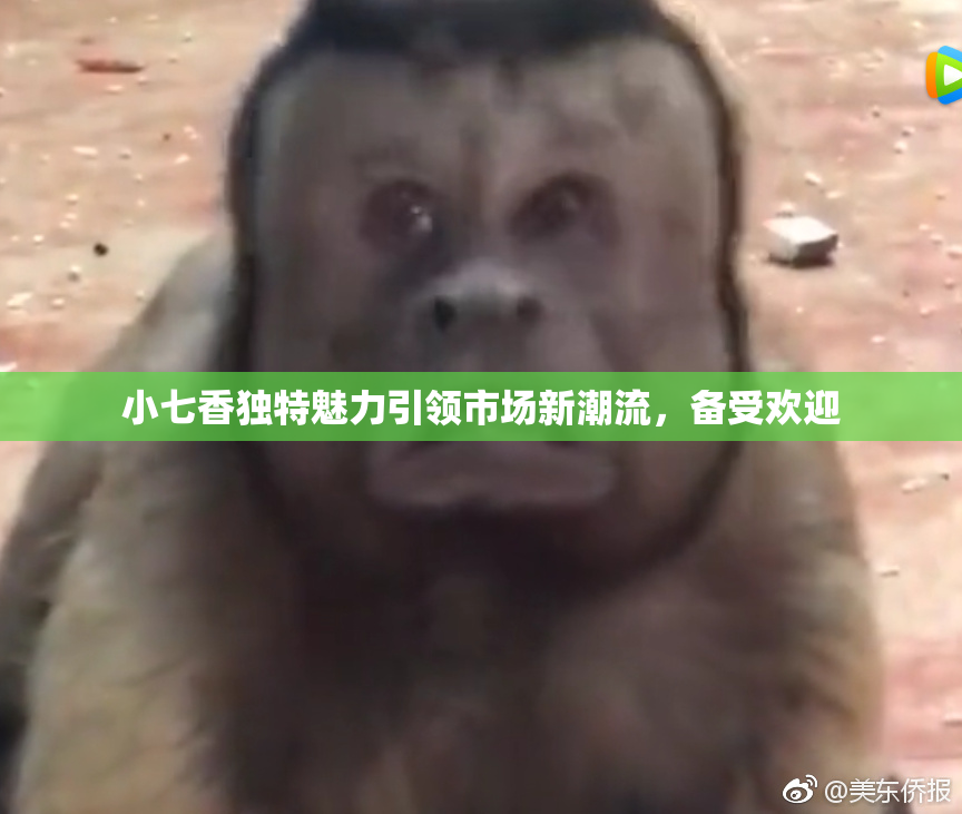 小七香独特魅力引领市场新潮流，备受欢迎