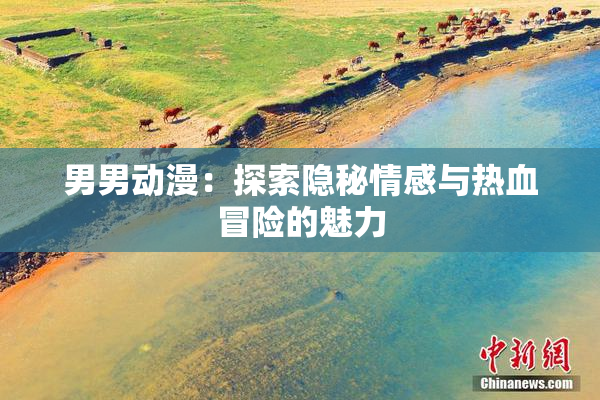 男男动漫：探索隐秘情感与热血冒险的魅力