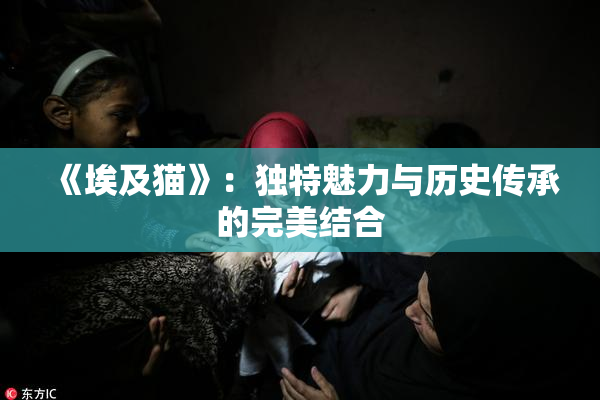 《埃及猫》：独特魅力与历史传承的完美结合
