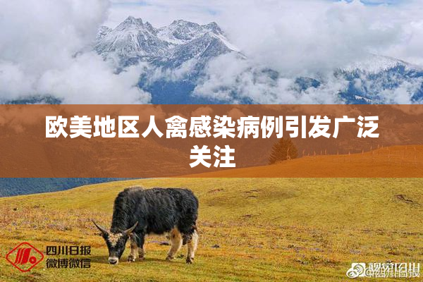 欧美地区人禽感染病例引发广泛关注