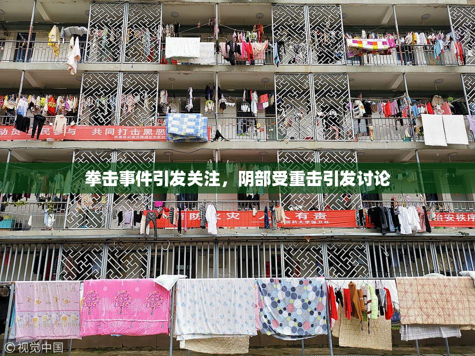 拳击事件引发关注，阴部受重击引发讨论