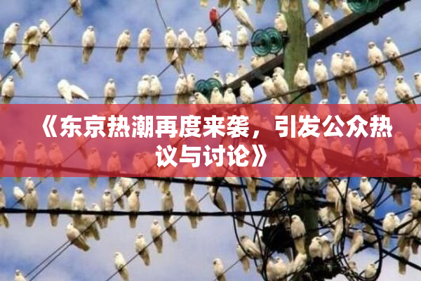 《东京热潮再度来袭，引发公众热议与讨论》