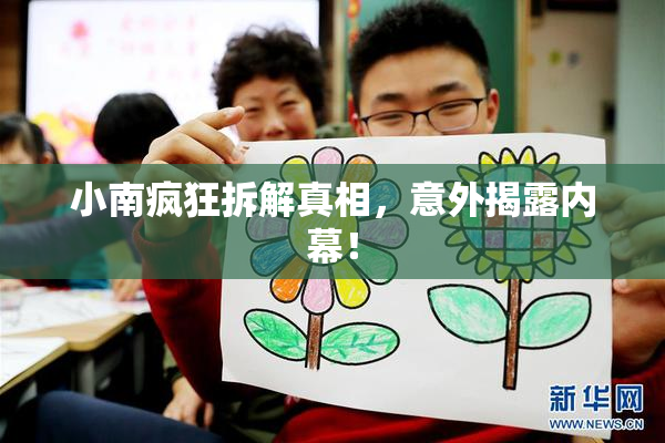 小南疯狂拆解真相，意外揭露内幕！